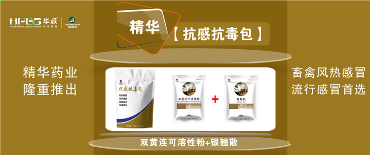 科普：几种常见畜禽感冒与流行性感冒的防控 |【抗感抗毒包】抗菌消炎、解热排毒、抗毒增免，畜禽风热感冒、流行感冒首选!