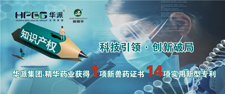 科技引领&bull;创新破局 | 华派集团&bull;精华药业获得1项新兽药证书 14项实用新型专利
